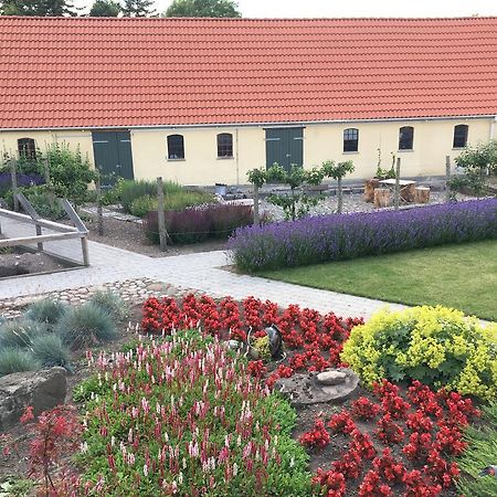 Birkende Bed And Breakfast Langeskov Exteriér fotografie
