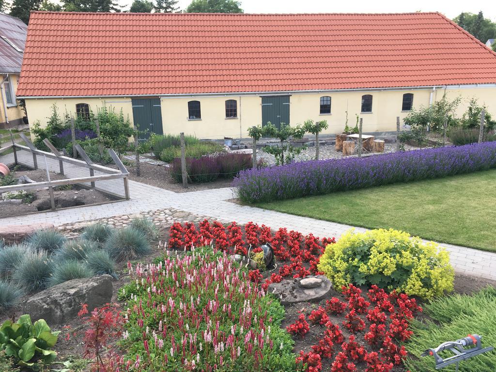 Birkende Bed And Breakfast Langeskov Exteriér fotografie